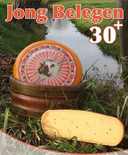30+ Magerkäse 30+ Magerkäse