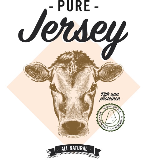 Jersey Gouda Käse Jersey Gouda Käse