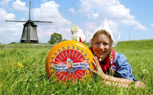 Alle Käse Alle Käse