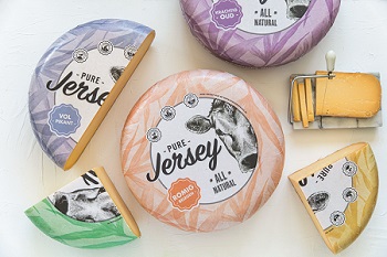 Jersey Gouda Käse Jersey Gouda Käse