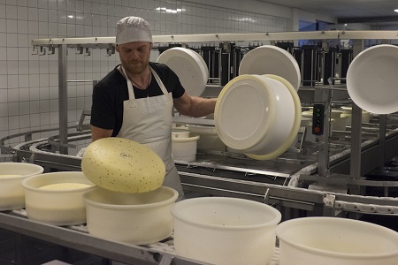 Terschellinger Käse Terschellinger Käse