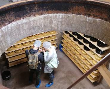 Vlielander Bunkerkäse