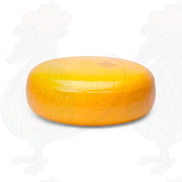 Junger Gouda Käse | Ganzer Käse 4,5 Kilo | Premium Qualität