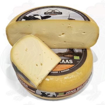 Jung gereifter Bio Käse