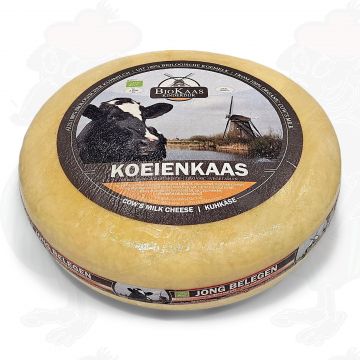 Jung gereifter Bio Käse | Ganzer Käse 14 Kilo