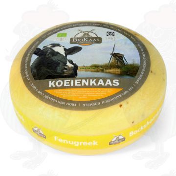 Bio Bockshornkleekäse | Ganzer Käse 5,4 Kilo