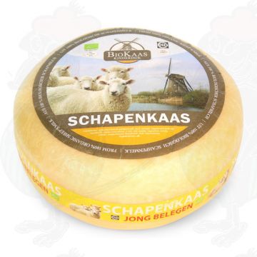 Bio Schafskäse | Ganzer Käse 5,4 kg