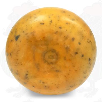 Gouda Geheimratskäse | Brennnessel | Ganzer Käse 900 gr