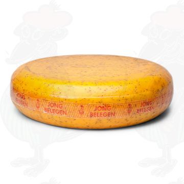 Junger Kreuzkümmelkäse | Ganzer Käse 11 Kilo | Premium Qualität