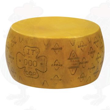Käsedummy Grana Padano PDO