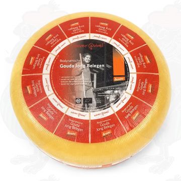 Jung Gereifter Gouda Biodynamische Käse - Demeter | Ganzer Käse 5 Kilo