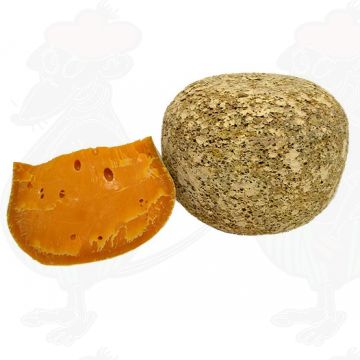 Mimolette - Boule de Lille | 18-24 Monate