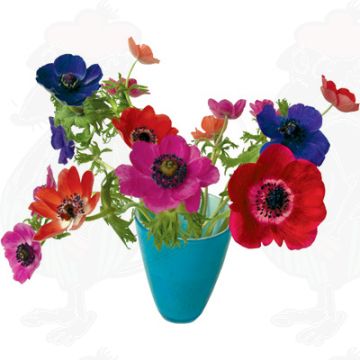 Anemone blau Fensteraufkleber - Flat Flower - 30 x 37 cm