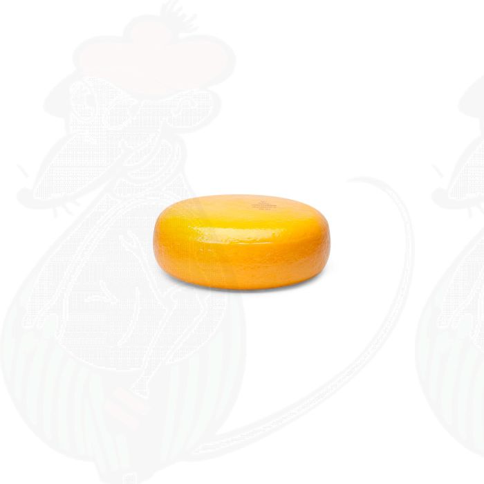 Junger Gouda Käse | Ganzer Käse 4,5 Kilo | Premium Qualität main product photo