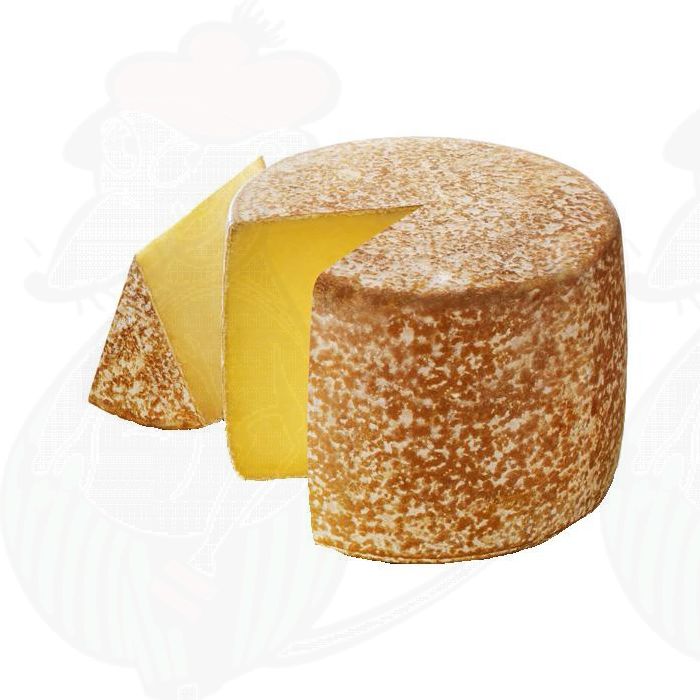 Cantal AOP / AOC Cheese main product photo