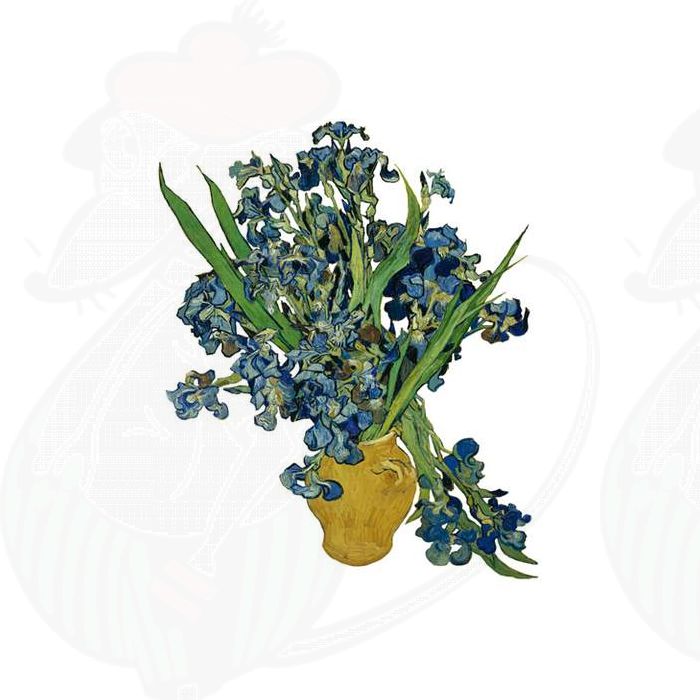Van gogh shop online cheap