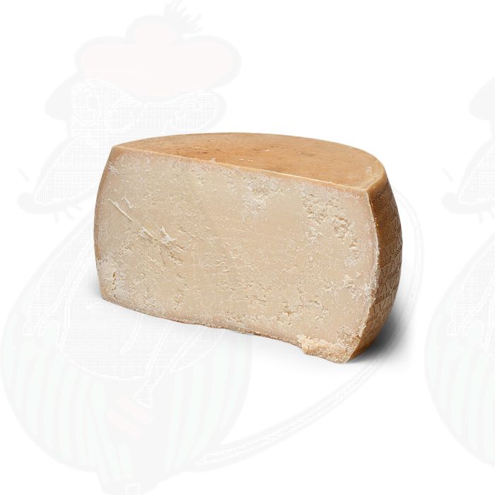 Grana Padano PDO Käse | Premium Qualität main product photo