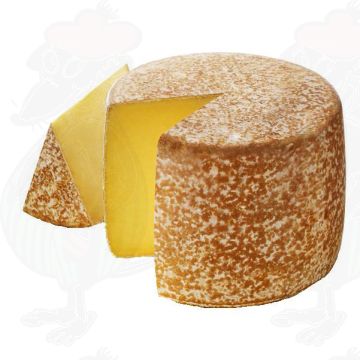 Cantal AOP / AOC Cheese