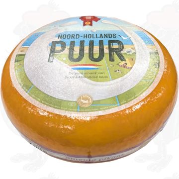 Extra Gereifter nordholländische Goudakäse mit dem rotem Gütesiegel | Ganzer Käse 12 kg