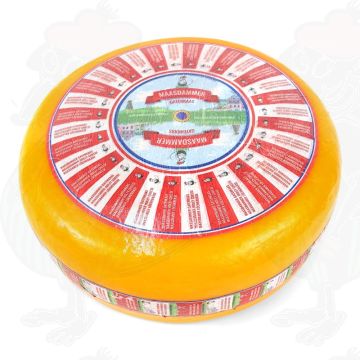 Maasdamer - Löcherkäse | Ganzer Käse 12,5 Kilo
