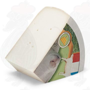 Junger Ziegenkäse