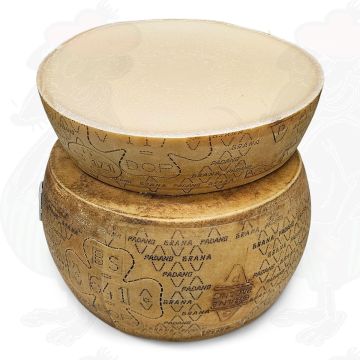 Grana Padano PDO Käse | 20 kg - Halber Käse - Schüssel