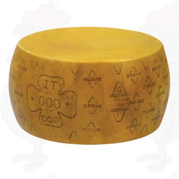 Käsedummy Grana Padano PDO