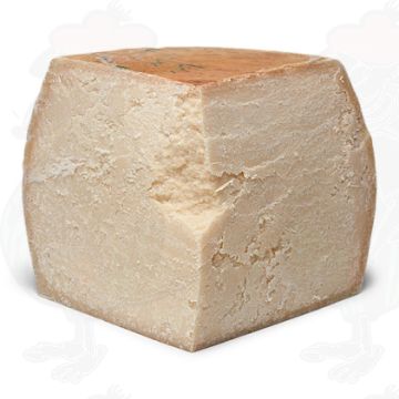 Grana Padano PDO Käse | Viertel Käse 8 Kilo