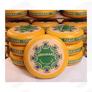 Maikäse Gouda 2026 | Ganzer Käse 13 Kilo