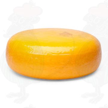 Junger Gouda Käse | Ganzer Käse 4 Kilo