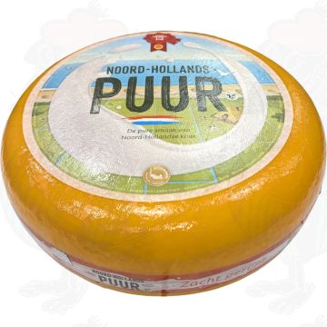 Jung Gereifter nordholländische Goudakäse mit dem rotem Gütesiegel | Ganzer Käse 13 kg