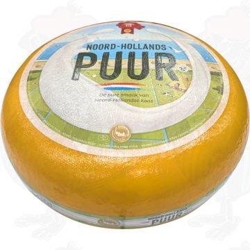 Junger Gouda aus Nordholland mit dem roten Gütesiegel | Ganzer Käse 13 kg