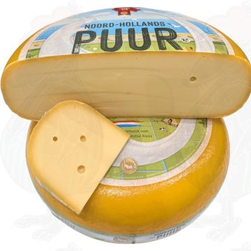 Junge Nordholländischer Gouda mit dem rotem Gütesiegel