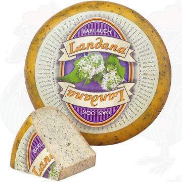 Landana Bärlauch | Ganzer Käse 5 Kilo