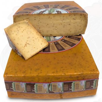 Alter Kreuzkümmelkäse Quadratisch