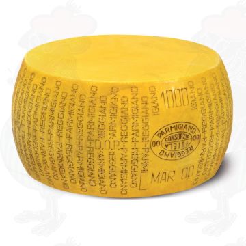 Käsedummy Parmesan Reggiano